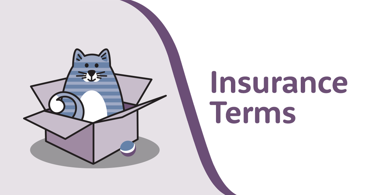 Pet Insurance Terms & Definitions Breakdown Furkin